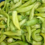 Banana Pepper (මාළු මිරිස්)