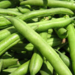 Green Beans (බෝංචි)