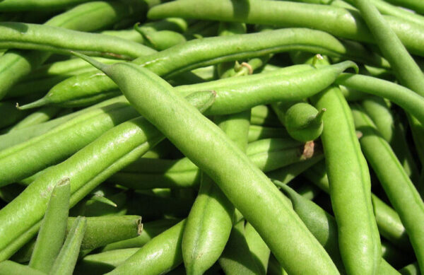green-beans-bonchi Green Beans (බෝංචි) - Image 1