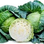 Green Cabbage (ගෝවා)