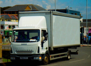 Water Melon - Image 3