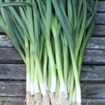 Leeks