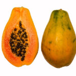 Papaya