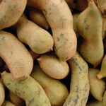 Tamarind (සියඹලා)